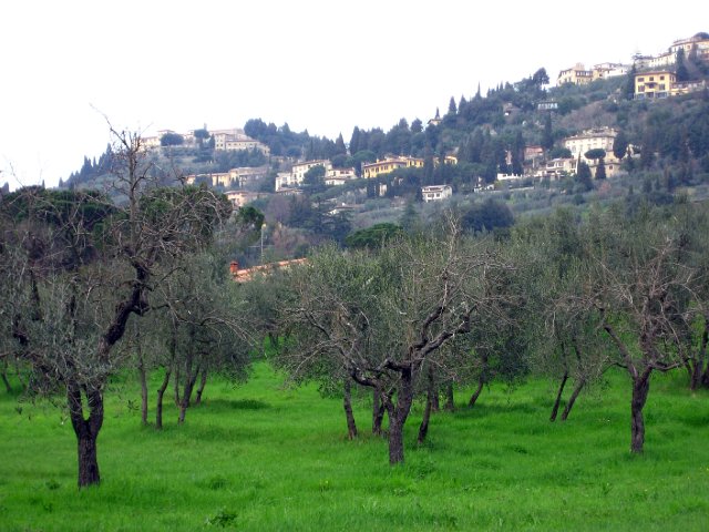 Fiesole Country Views-11.JPG